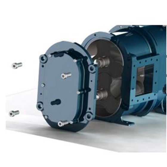 轉子泵側面圖 轉子泵側面圖