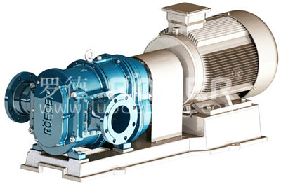 凸輪轉子泵 凸輪轉子泵