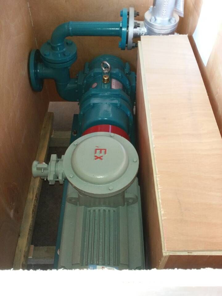 排污轉(zhuǎn)子泵封箱前檢驗 排污轉(zhuǎn)子泵封箱前檢驗