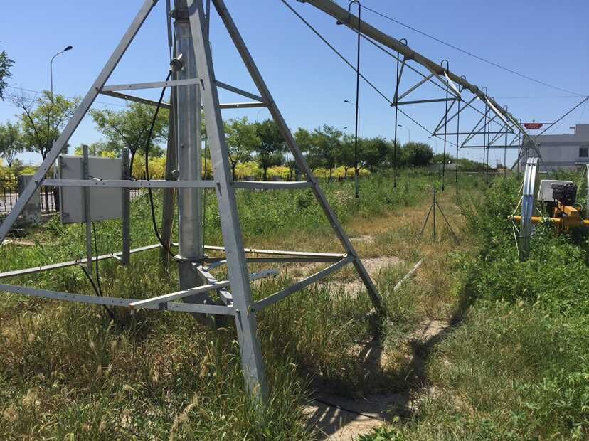 青島羅德參與節水增糧行動 青島羅德參與節水增糧行動