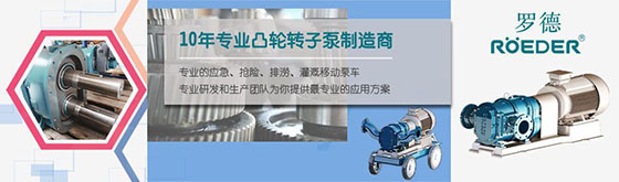 青島羅德轉子泵 青島羅德轉子泵