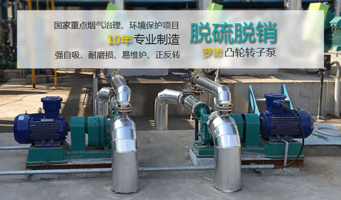 羅德凸輪轉子泵在國家環保項目中的應用 羅德凸輪轉子泵在國家環保項目中的應用