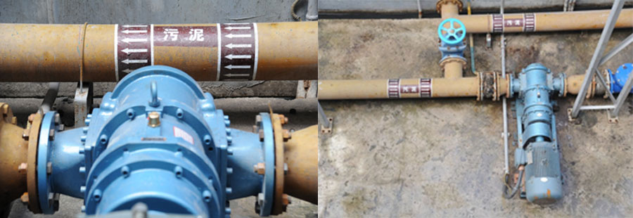 中山市珍加山RDC50污泥輸送轉子泵