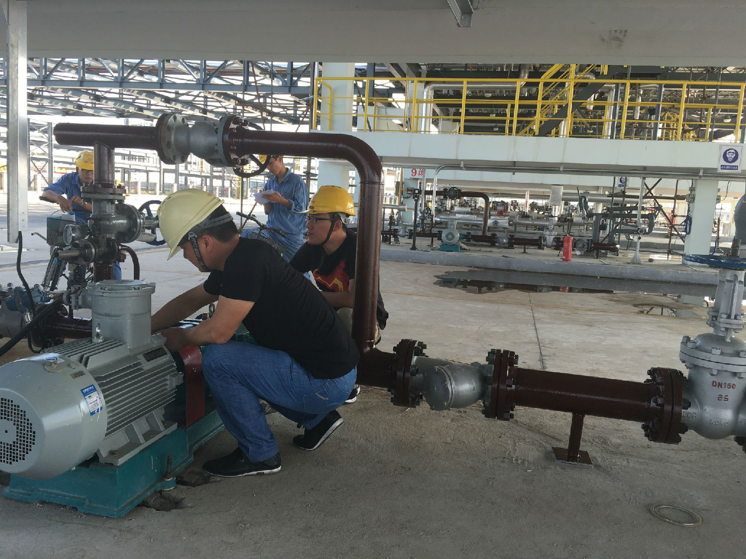 江蘇甲醇卸車泵羅德橡膠凸輪轉子泵 江蘇甲醇卸車泵羅德橡膠凸輪轉子泵