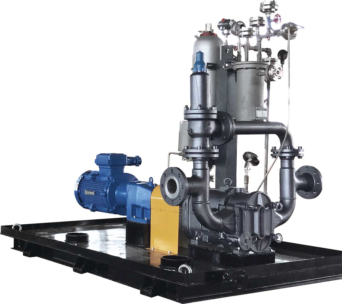 帶機封沖洗的轉子泵系統 帶機封沖洗的轉子泵系統